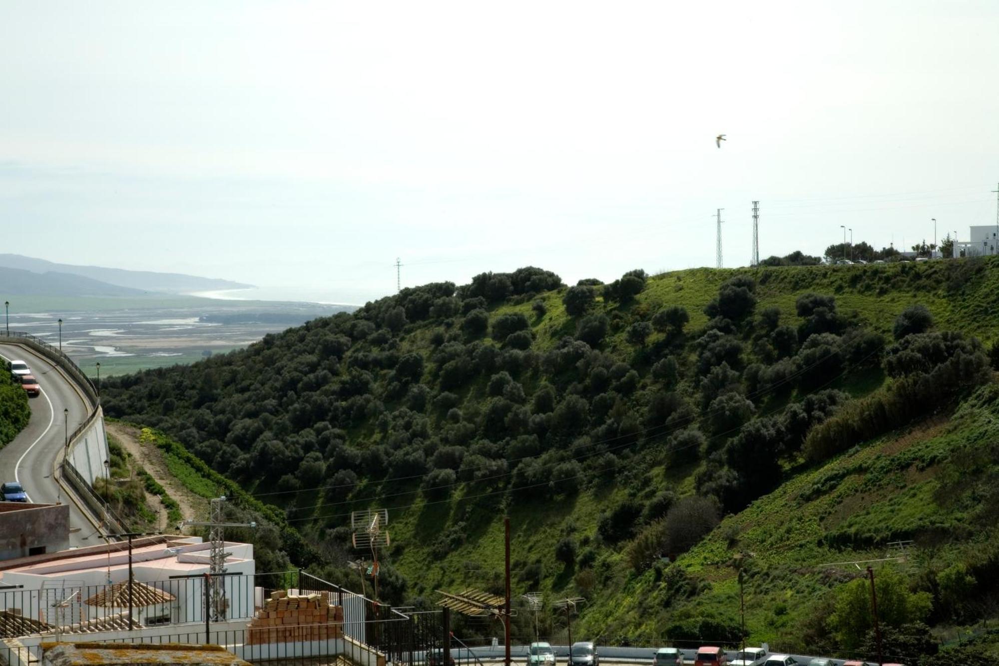 Apartamentos Reysan Vejer de la Frontera Ngoại thất bức ảnh